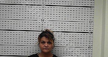 PAREDES, ESMERALDA ELIZABETH | 2025-04-04 03:00:01 Jim Wells County, Texas Booking
