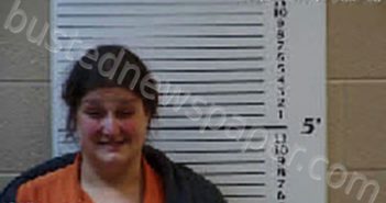 HENSLEY, CALLA FASANO | 2025-04-04 13:20:00 Cherokee County, North Carolina Booking
