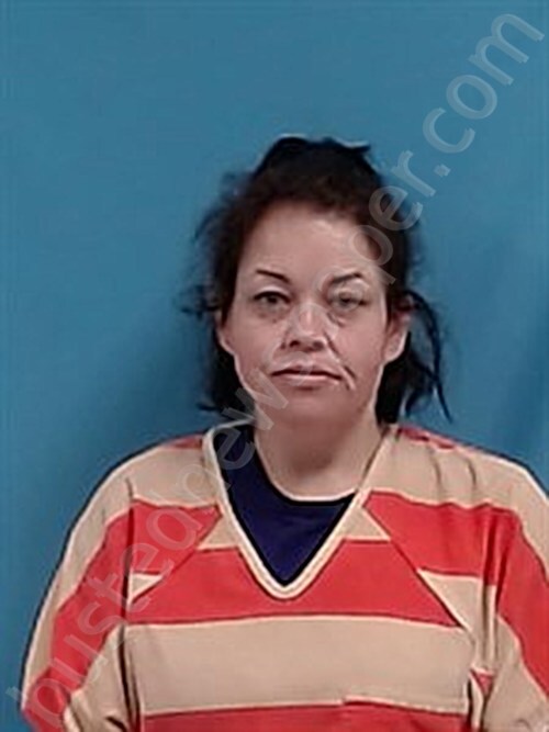 JOHNSON, JESSICA ASHLEY #, White County, Arkansas - 2025-04-05 09:21:00