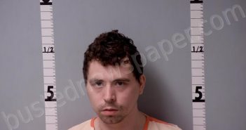 POLLEY, ERIK DANIEL | 2025-04-05 10:11:00 Gratiot County, Michigan Booking