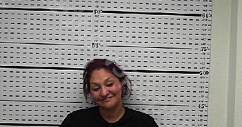 DAVILA, VERONICA LYNN | 2025-04-05 04:00:01 Jim Wells County, Texas Booking