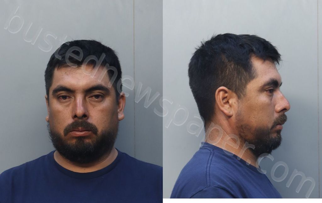 RODRIGUEZ-MARTINEZ, ELMER GABRIEL #, Miami-Dade County, Florida - 2025-04-05 04:11:00