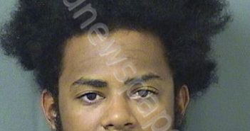 DILLION, <B>CHRISTOPHER</B> <B>NICHOLAS</B> #, Palm Beach County, Florida - 2025-04-05 17:44:00