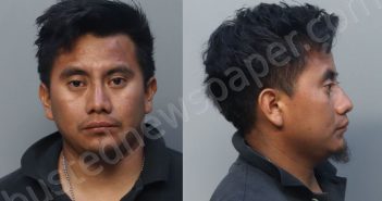 DOMINGO-<B>LOPEZ</B>, SILVERIO <B>FERNANDO</B> #, Miami-Dade County, Florida - 2025-04-06 07:52:00