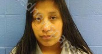ANA RAQUEL LUX-SAJBIN | 2025-04-06 14:53:00 Faulkner County, Arkansas Booking