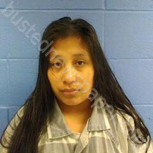 ANA RAQUEL LUX-SAJBIN #, Faulkner County, Arkansas - 2025-04-06 14:53:00