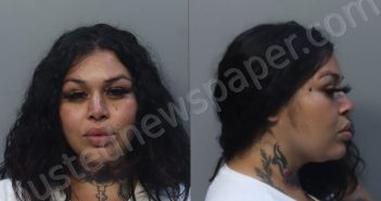 <B>ARREOLA</B>, <B>CHEYENNE</B> #, Miami-Dade County, Florida - 2025-04-06 19:56:00