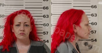<B>NELSON</B>, <B>REBECCA</B> LUCILLE #, Henderson County, Texas - 2025-04-06
