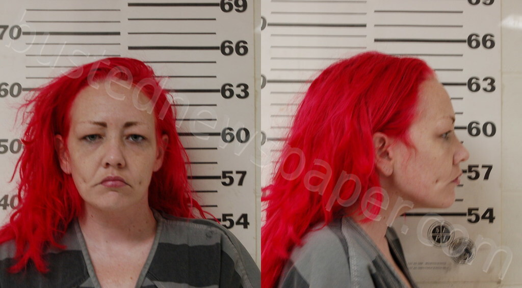 NELSON, REBECCA LUCILLE #, Henderson County, Texas - 2025-04-06