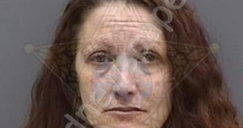 <B>WILSON</B>,<B>BRANDIE</B> #, Hillsborough County, Florida - 2025-04-06 22:56:00