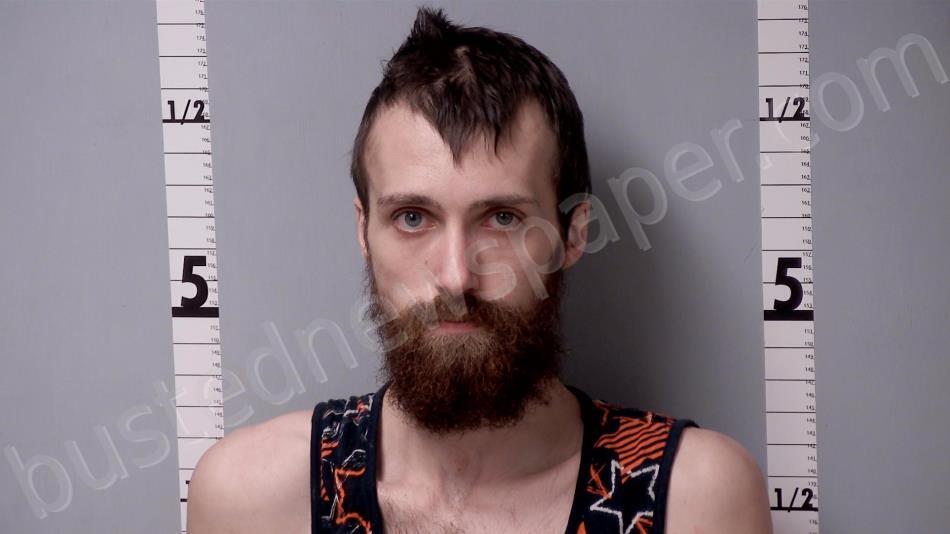 WISER, TYLER DENNIS #, Gratiot County, Michigan - 2025-04-06 00:45:00