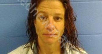 SHANDELEE ANNE GUDSCHINSKY | 2025-04-06 11:51:00 Faulkner County, Arkansas Booking