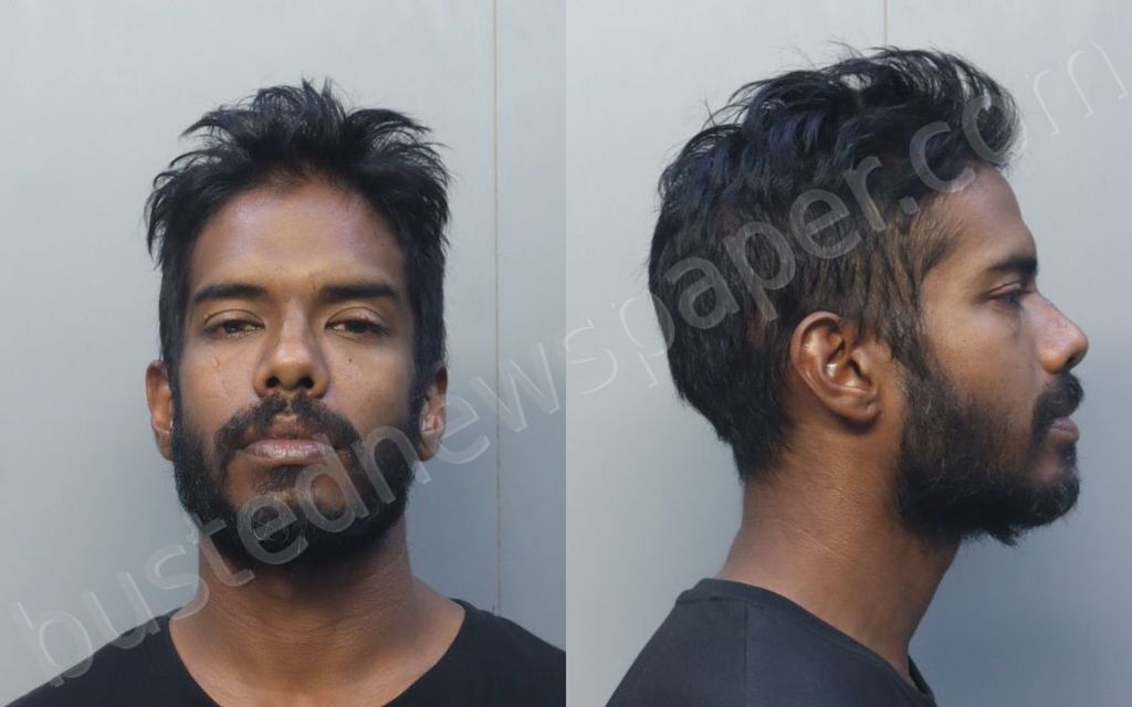 SEEPERSAUD, ANUP DHANDRJ #, Miami-Dade County, Florida - 2025-04-06 20:22:00