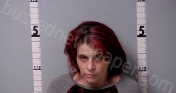 BROOKS, NICOLE LYNN | 2025-04-06 00:03:00 Gratiot County, Michigan Booking