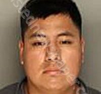 <B>GOMEZ</B>-CHAVEZ, MARVIN <B>JOSE</B> #, Colleton County, South Carolina - 2025-04-07