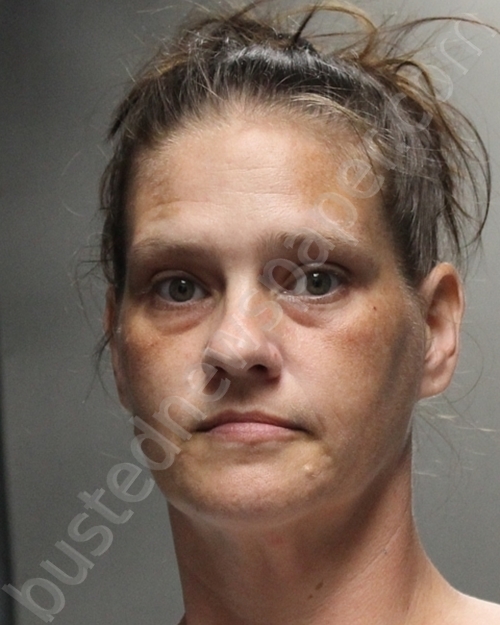 Mcdaniel,mary Ruth 20250407 Freestone County, Texas Booking