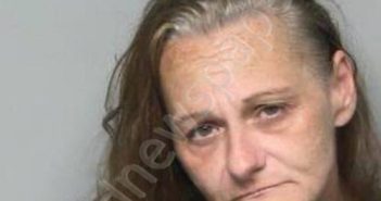 NIKKI WRIGHT RUSHFORD | 2025-04-07 13:48:00 Randolph County, North Carolina Booking