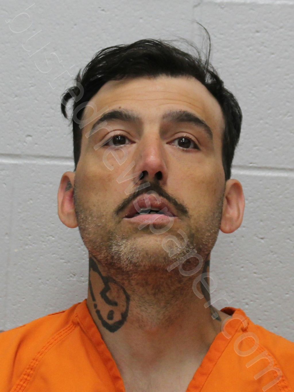 WILLIAMS, JUSTIN ANDREW #, Franklin County, Illinois - 2025-04-07 20:00:00