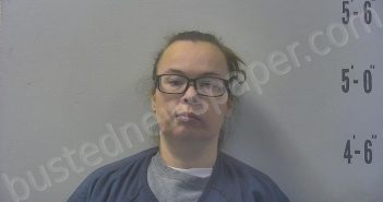 ROWE, FELICIA M | 2025-04-07 11:39:00 Pulaski County, Indiana Booking