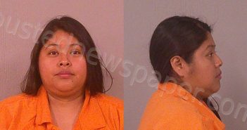 RODRIGUEZ, CIRENIA | 2025-04-07 Burnet County, Texas Booking