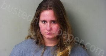 ELLSWORTH, DANETTE NICOLE | 2025-04-07 16:29:00 Hillsdale County, Michigan Booking