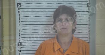 PARKER, PAMELA LOU | 2025-04-08 22:34:00 Taylor County, Kentucky Booking