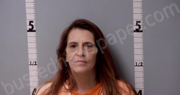 STEVENS, TAMMY MARIE | 2025-04-08 11:05:00 Gratiot County, Michigan Booking