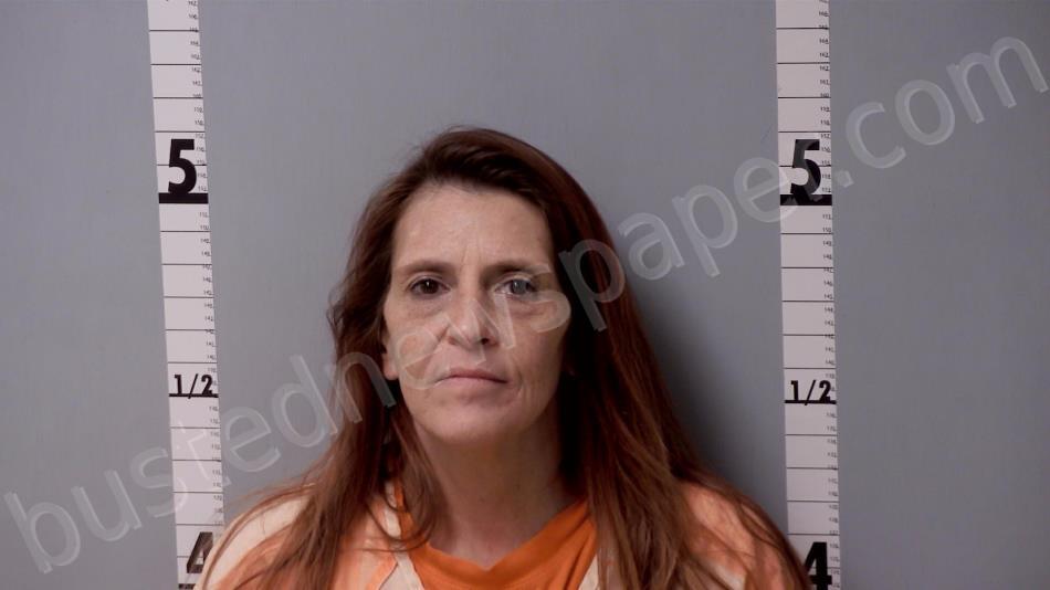 STEVENS, TAMMY MARIE #, Gratiot County, Michigan - 2025-04-08 11:05:00
