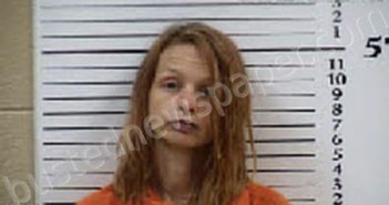 WRIGHT, AMANDA DANIELLE | 2025-04-08 23:04:00 Cherokee County, North Carolina Booking