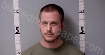 ACKLEY, LUKE ALLEN | 2025-04-08 10:19:00 Gratiot County, Michigan Booking