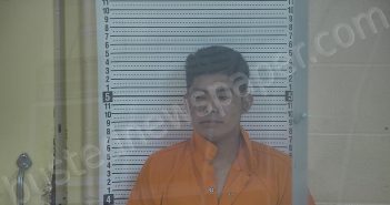 PEREZ, LAZARO H | 2025-04-08 02:05:00 Taylor County, Kentucky Booking