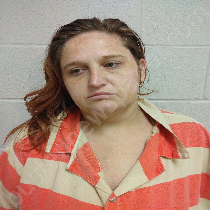 BADGER, CARRIE LYN #, Brown County, Texas - 2025-04-08 13:58:00
