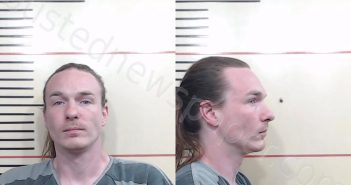 MCGINLEY-HUTCHINGS, TARON <B>MICHAEL</B> #, <b>Parker</b> County, Texas, Parker County, Texas - 2025-04-08