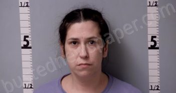 DEPREST, DIANA MARIE | 2025-04-09 15:51:00 Gratiot County, Michigan Booking