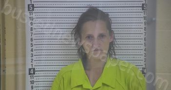 DAVIS, SHERRY | 2025-04-09 21:02:00 Taylor County, Kentucky Booking