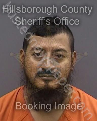 BARRY DELEON,JUAN #, Hillsborough County, Florida - 2025-04-10 23:15:00