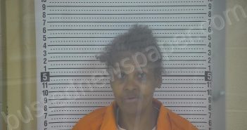 SMITH, ANNA MARIE | 2025-04-10 13:24:00 Taylor County, Kentucky Booking