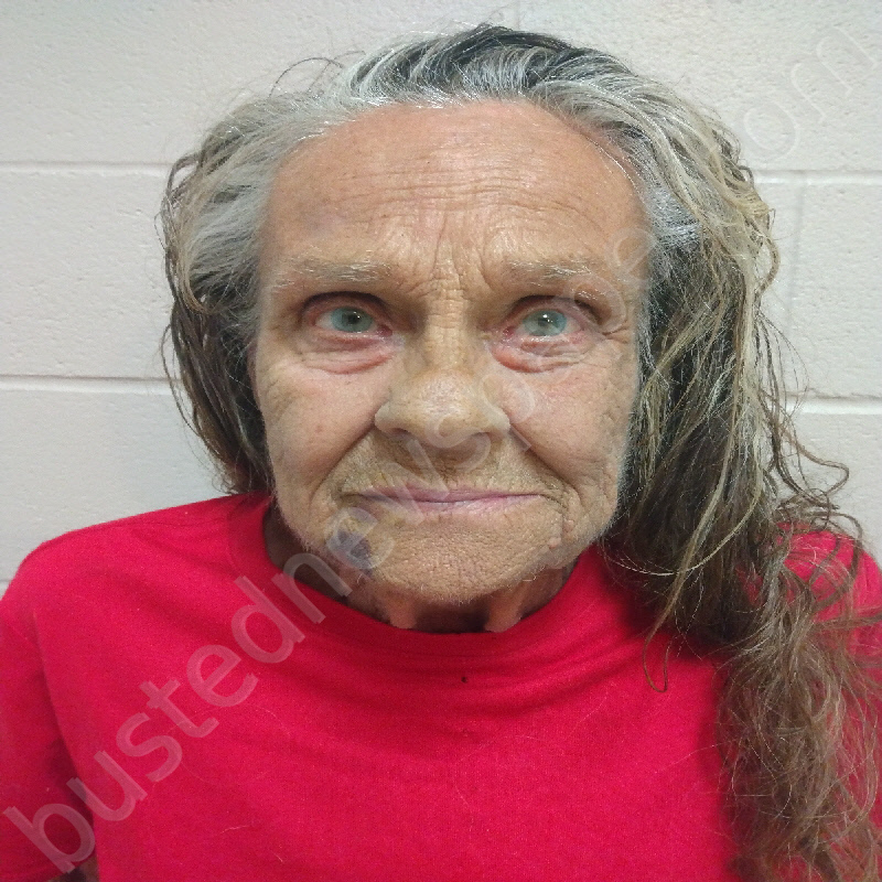 CARTER, MICKENZIE ANN #, Brown County, Texas - 2025-04-10 14:24:00