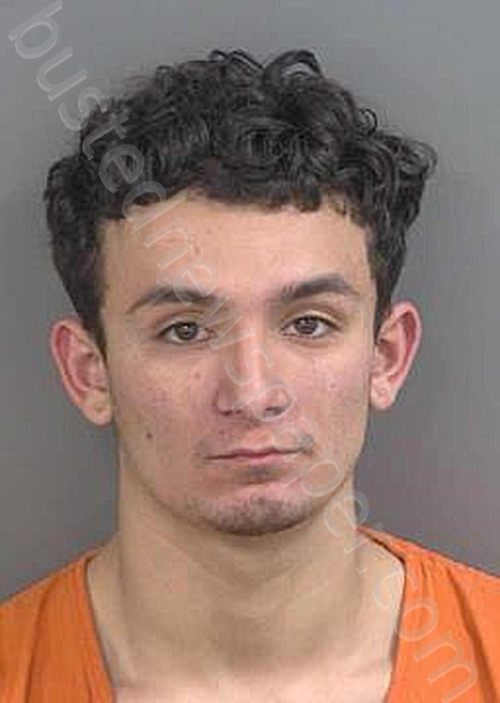 ORTIZ,ANDRES JORGE #, Collier County, Florida - 2025-04-10