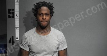 DRAKE, MICHAEL | 2025-04-10 11:41:00 Western Tidewater, Virginia Booking