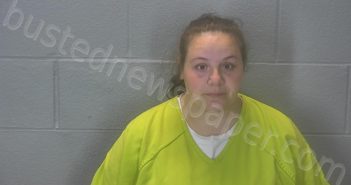 SMITH, MICHELLE ANN | 2025-04-10 02:41:00 Tippecanoe County, Indiana Booking