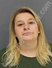 BLISS-HOLIAN, BRIANA LYNN #, Medina County, Ohio - 2025-04-11