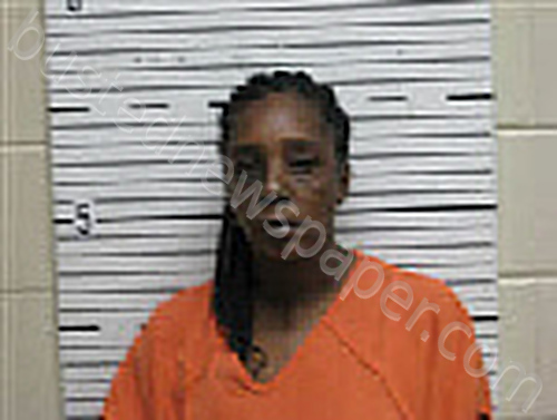 RILEY, THERESA FAY #, Butler County, Alabama - 2025-04-11