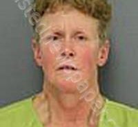 PIFER, JACQUELINE ANN | 2025-04-11 Medina County, Ohio Booking