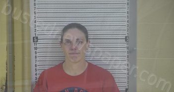 THOMAS, MEGAN R | 2025-04-11 23:33:00 Taylor County, Kentucky Booking