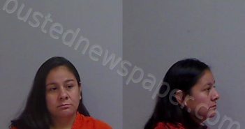 <B>TIJERINA</B>, <B>RENEE</B> #, Hidalgo County, Texas - 2025-04-11