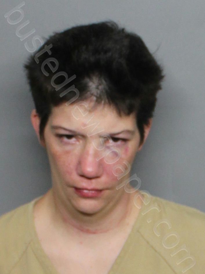 ASHCRAFT, ASHLEY AFTEN ANDRAEA #, Charlotte County, Florida - 2025-04-11 06:54:00