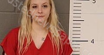 WOOD, ALEXIS | 2025-04-12 03:13:00 St. Clair County, Alabama, St Clair County, Alabama Booking