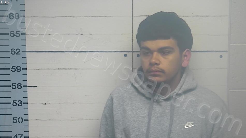 PINEDO, GUSTAVO ROSALES #, Desoto County, Mississippi, DeSoto County, Mississippi - 2025-04-12 02:25:00