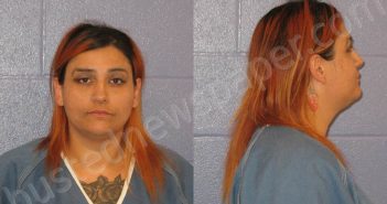 VILLARREAL, PRICILLA ALICIA | 2025-04-12 Andrews County, Texas Booking